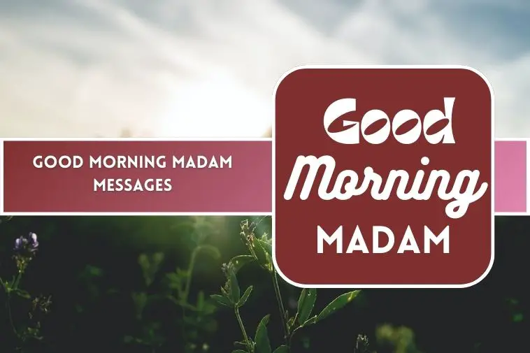 Good Morning Madam Messages